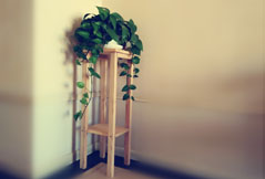 (gu)֘I(y)ȡ|